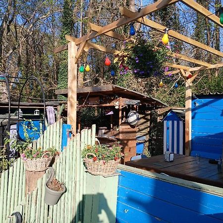 Maison 70M2 Calme Vue Sur Foret Salles  Eksteriør billede